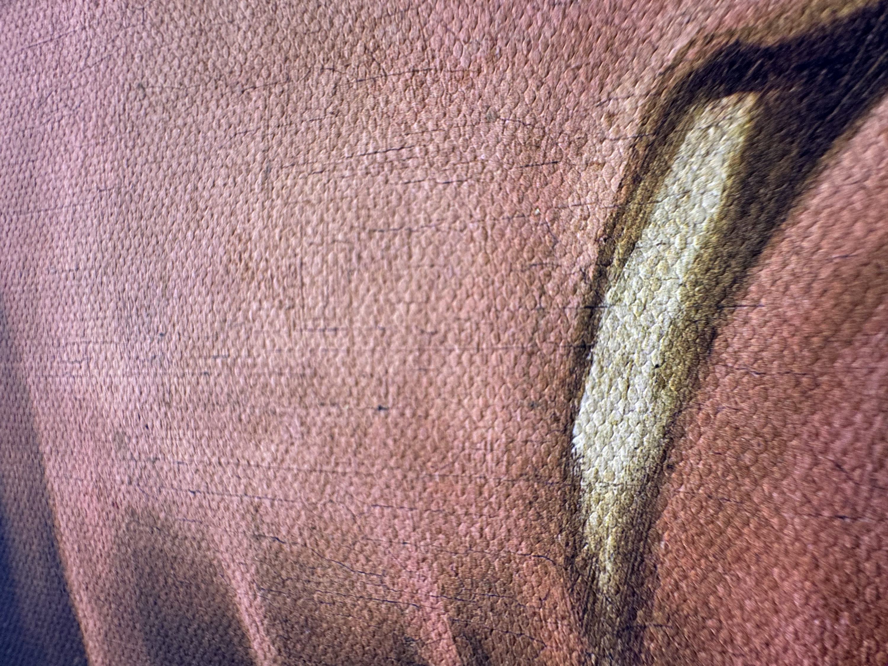 Detalhe macro: trama do canvas e pincelada em relevo