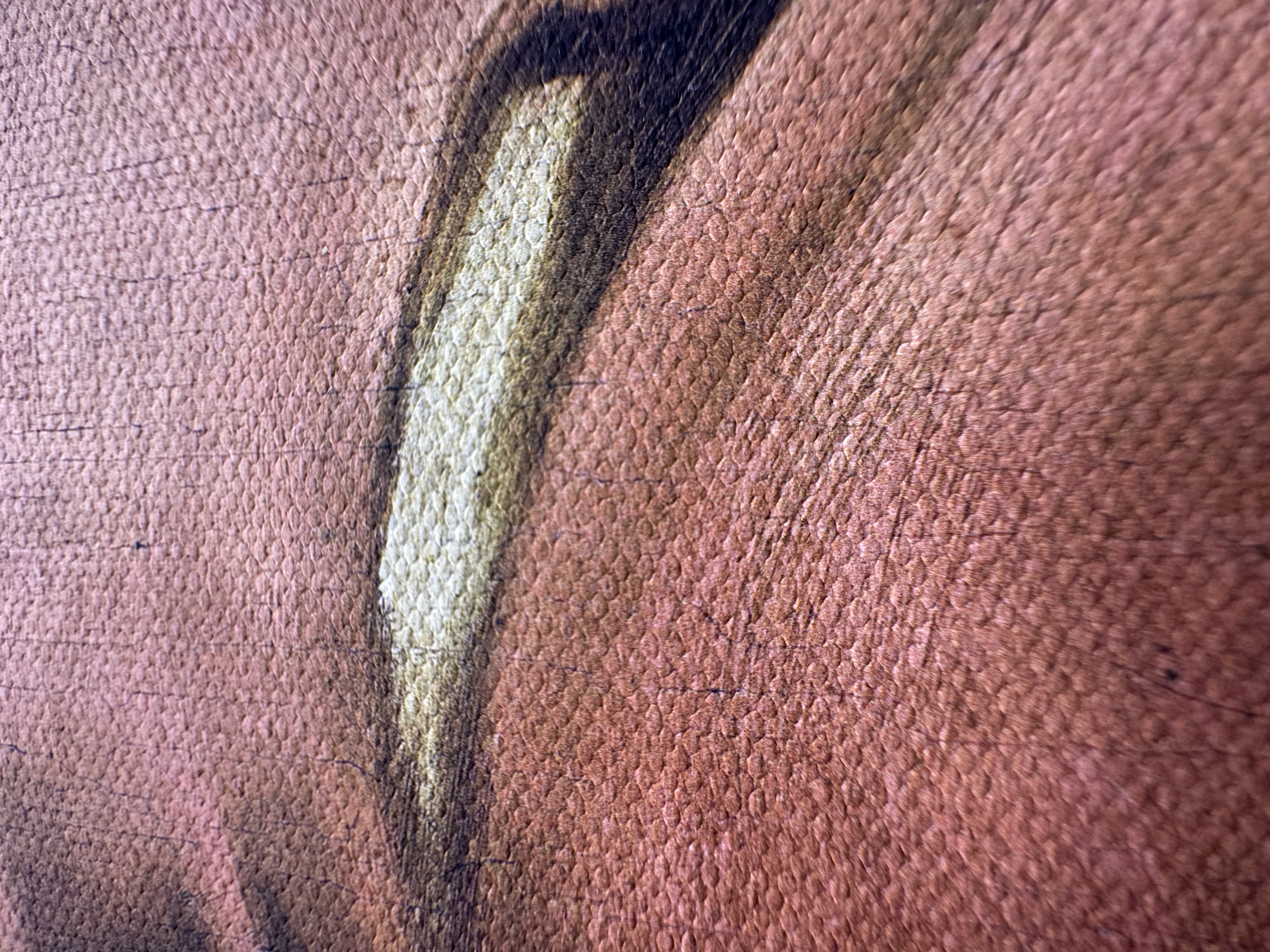 Detalhe macro: pincelada empilhada